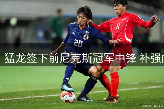 猛龙签下前尼克斯冠军中锋 补强内线深度迎战新赛季