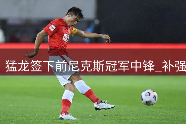 猛龙签下前尼克斯冠军中锋 补强内线深度迎战新赛季